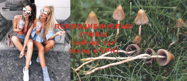 ПСИЛОЦИБИНОВЫЕ ГРИБЫ Алексин