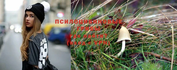 PSILOCYBIN Алексеевка